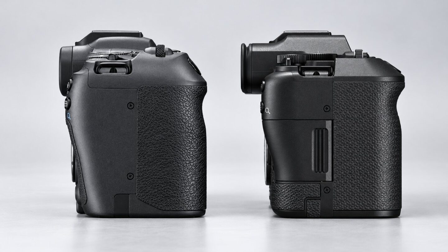 EOS R8 Mark IIとEOS R8を側面から並べてボディ厚とグリップを比較したイメージ